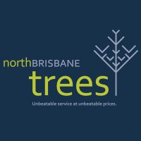 Nd North Brisbane Trees.jpg