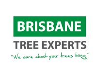 2022 Brisbane Tree Experts Logo.JPG