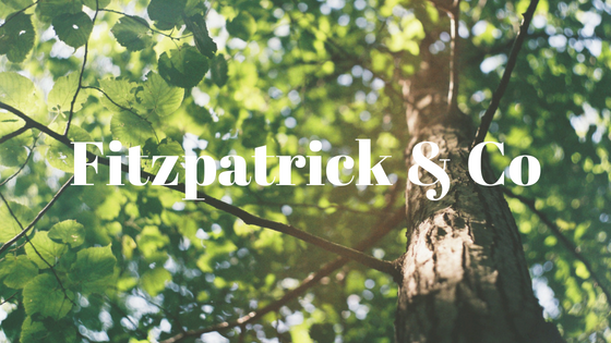 Fitzpatrick & Co Insurance Brokers – RUN OFF COVER