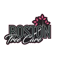 Boston Tree Care