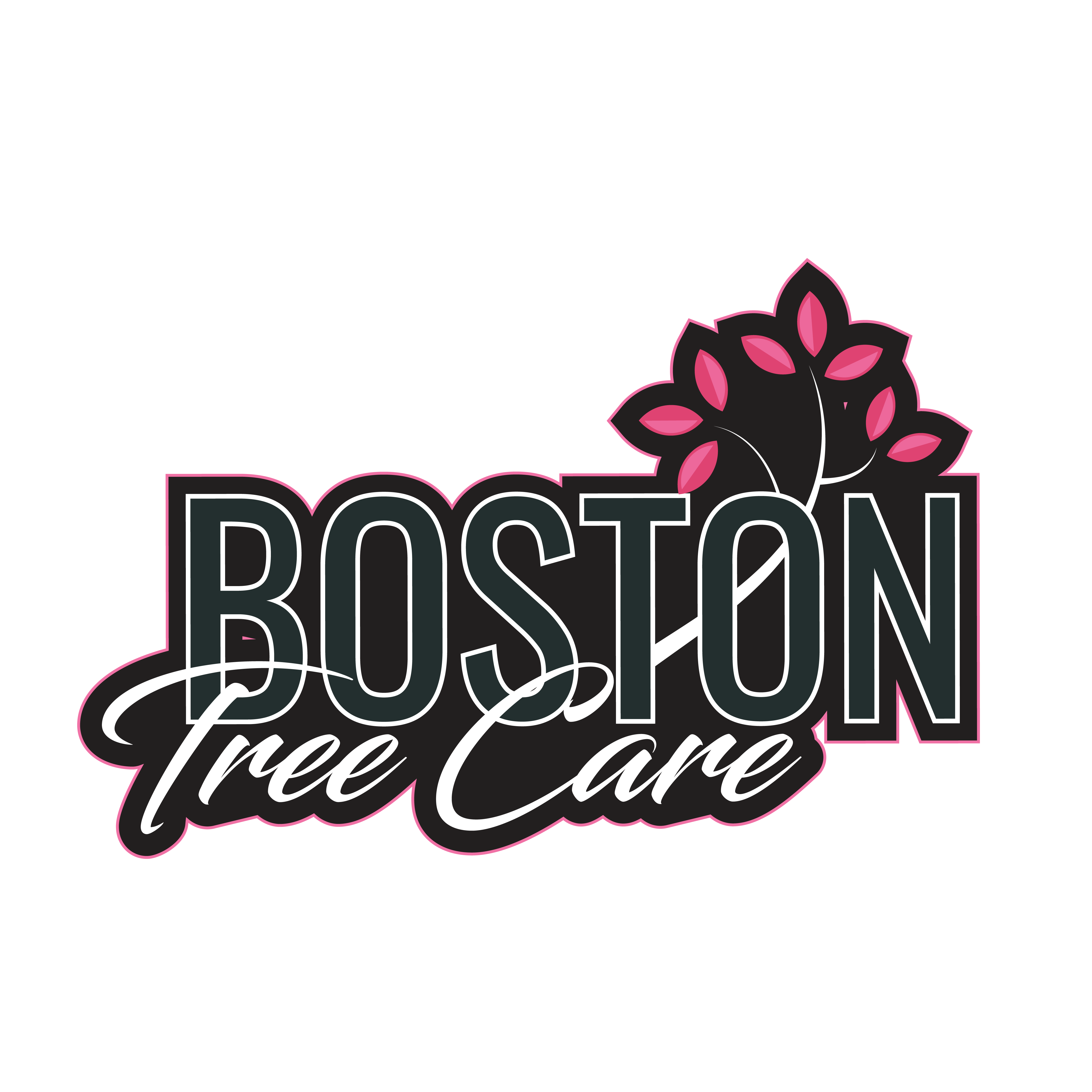 Boston Tree Care