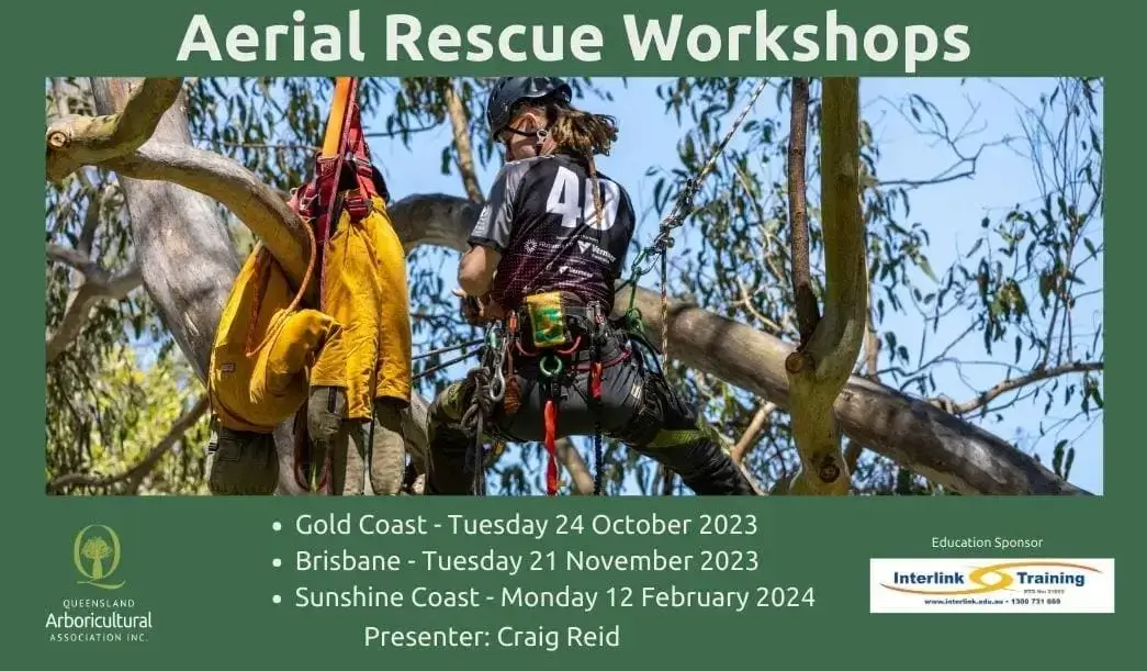 QAA Queensland Arboricultural Association providing industry support, arborist events and workshops, business directory and arborist membership for Queensland Aborists. Support for arborists in Queensland and Northern NSW